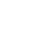 250mm “Fury” Shell