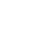 Auster's Harness