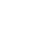 912 Shrike Rounds