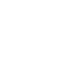 Warden Aircraft Engine (Large)