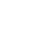 Warden Aircraft Engine (Small)