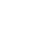 Quillback Torpedo