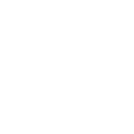 00MS “Stinger”
