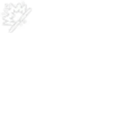 Damaged Warden Aircraft Engine (Small)