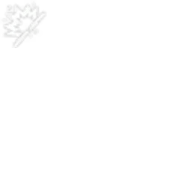 Damaged Warden Aircraft Engine (Large)