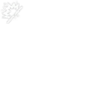 Damaged Warden Aircraft Mechanical Parts (Small)