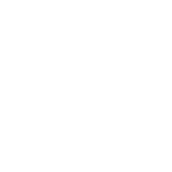Ignifist 30