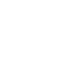 Aluminum
