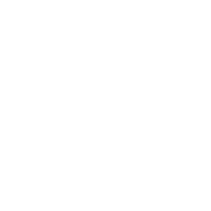 AB-11 “Doru”
