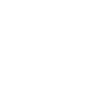 Iron