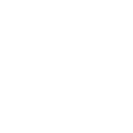 Fiddler Submachine Gun Model 868