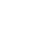 “Lionclaw” mc.VIII