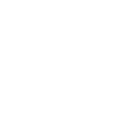 Sampo Auto-Rifle 77