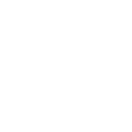 H-10 “Pelekys”