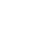 Argenti r.II Rifle