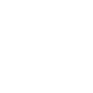 Basic Materials