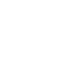 R-17 “Retiarius” Skirmisher