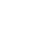 Lance-25 “Hasta”