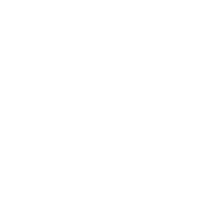 Catena rt.IV Auto-Rifle