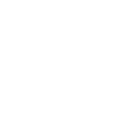 T14 “Vesta” Tankette