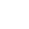 Ahti Model 2