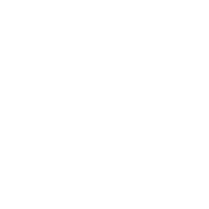 90T-v “Nemesis”