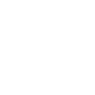No.4 The Pillory Scattergun